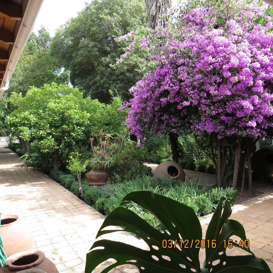 Hotel Boutique Quinta Maria Santa Cruz Exterior foto
