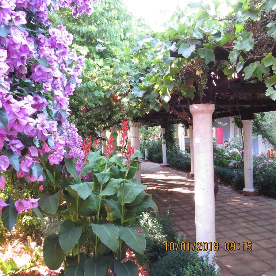 Hotel Boutique Quinta Maria Santa Cruz Exterior foto