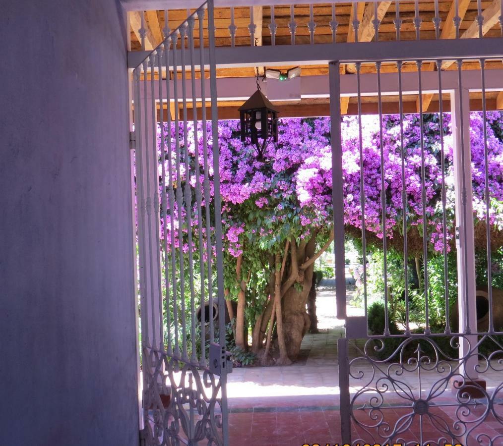 Hotel Boutique Quinta Maria Santa Cruz Exterior foto